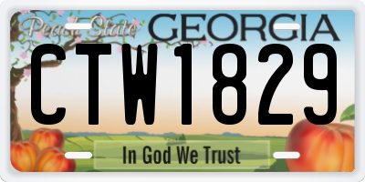 GA license plate CTW1829