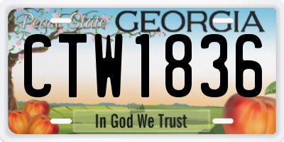 GA license plate CTW1836