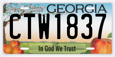 GA license plate CTW1837