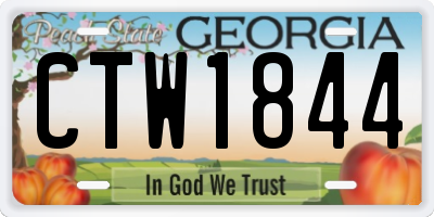 GA license plate CTW1844
