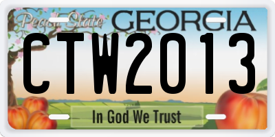 GA license plate CTW2013