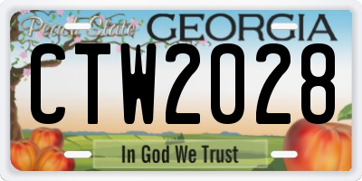 GA license plate CTW2028