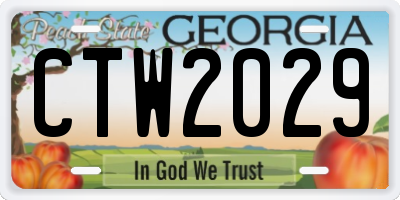 GA license plate CTW2029