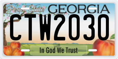 GA license plate CTW2030