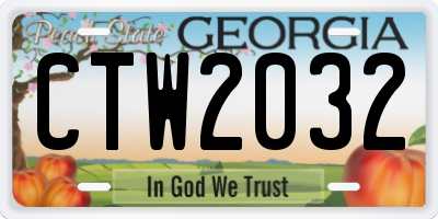 GA license plate CTW2032
