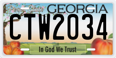 GA license plate CTW2034