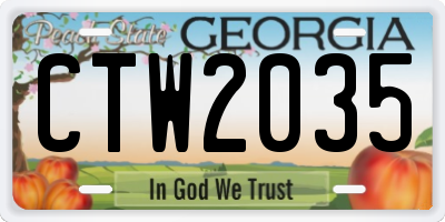GA license plate CTW2035