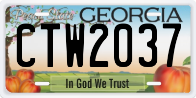 GA license plate CTW2037