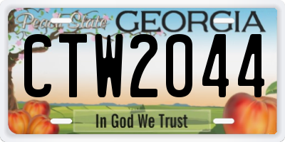 GA license plate CTW2044