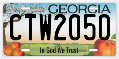 GA license plate CTW2050