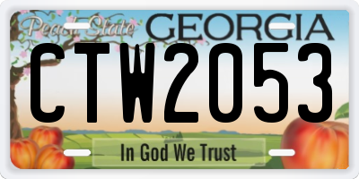 GA license plate CTW2053
