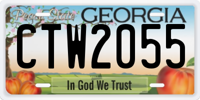 GA license plate CTW2055