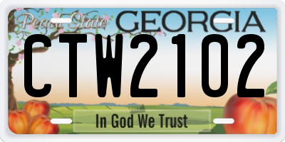 GA license plate CTW2102