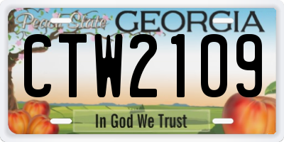 GA license plate CTW2109