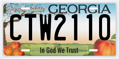 GA license plate CTW2110