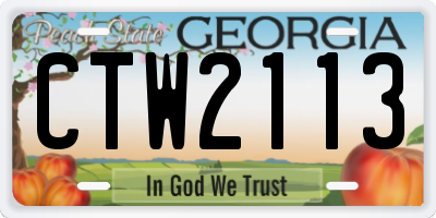 GA license plate CTW2113