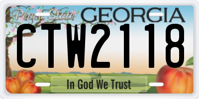 GA license plate CTW2118
