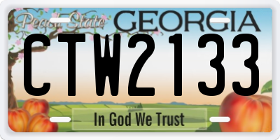 GA license plate CTW2133
