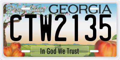 GA license plate CTW2135