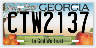 GA license plate CTW2137