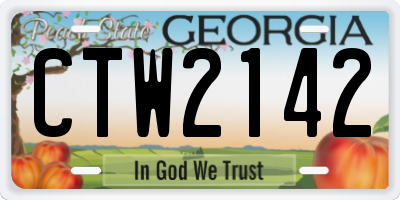 GA license plate CTW2142