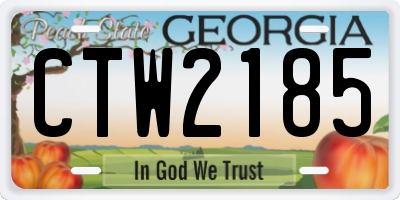 GA license plate CTW2185