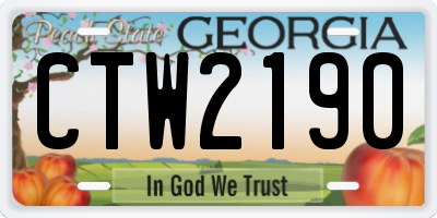 GA license plate CTW2190