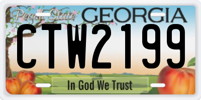 GA license plate CTW2199