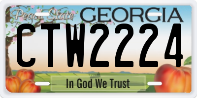 GA license plate CTW2224