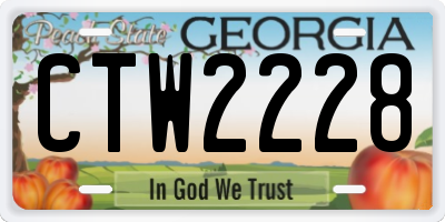 GA license plate CTW2228
