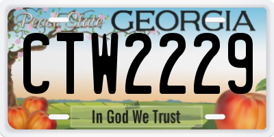 GA license plate CTW2229