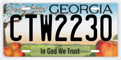 GA license plate CTW2230