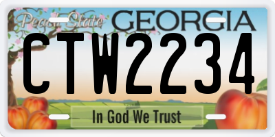 GA license plate CTW2234