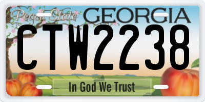 GA license plate CTW2238