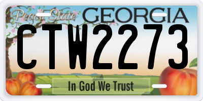 GA license plate CTW2273