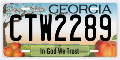 GA license plate CTW2289
