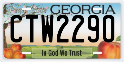 GA license plate CTW2290