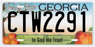 GA license plate CTW2291