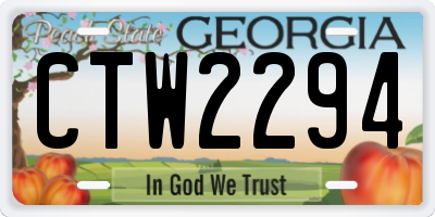 GA license plate CTW2294