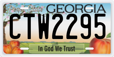 GA license plate CTW2295