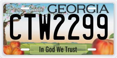 GA license plate CTW2299