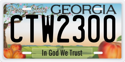 GA license plate CTW2300