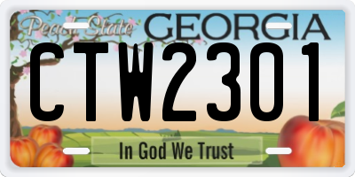 GA license plate CTW2301