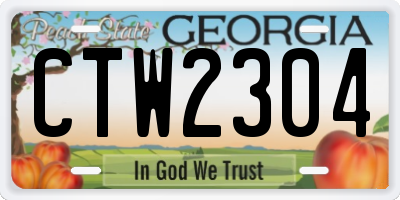 GA license plate CTW2304