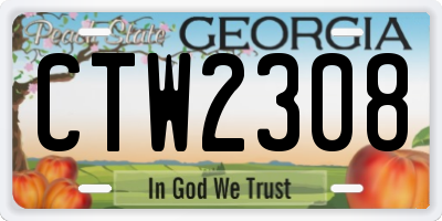 GA license plate CTW2308