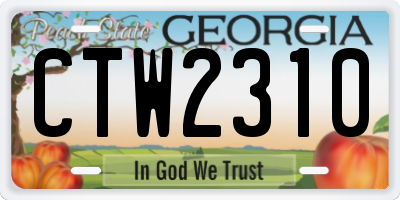 GA license plate CTW2310