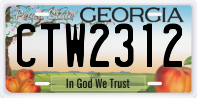 GA license plate CTW2312