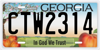 GA license plate CTW2314