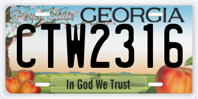 GA license plate CTW2316