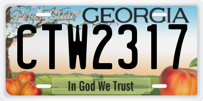 GA license plate CTW2317